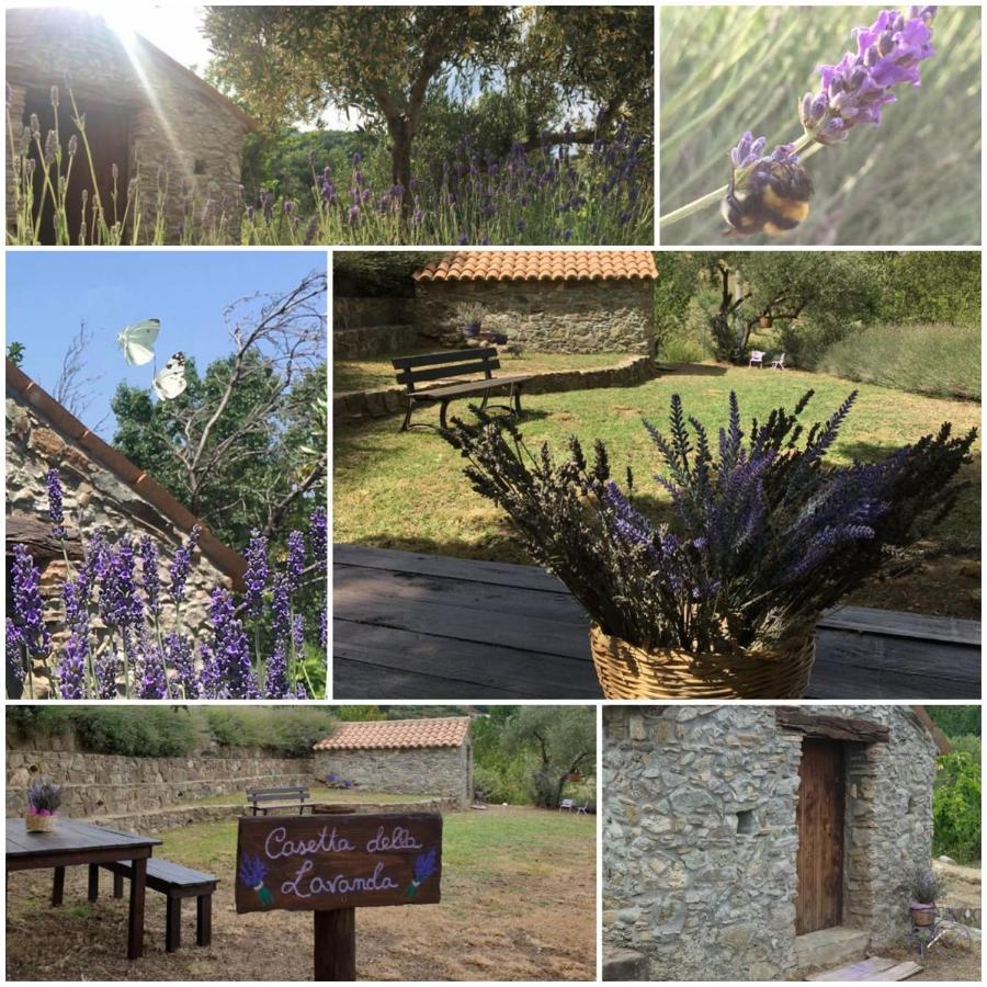 Agri Art Villa San Benedetto Ullano Eksteriør bilde