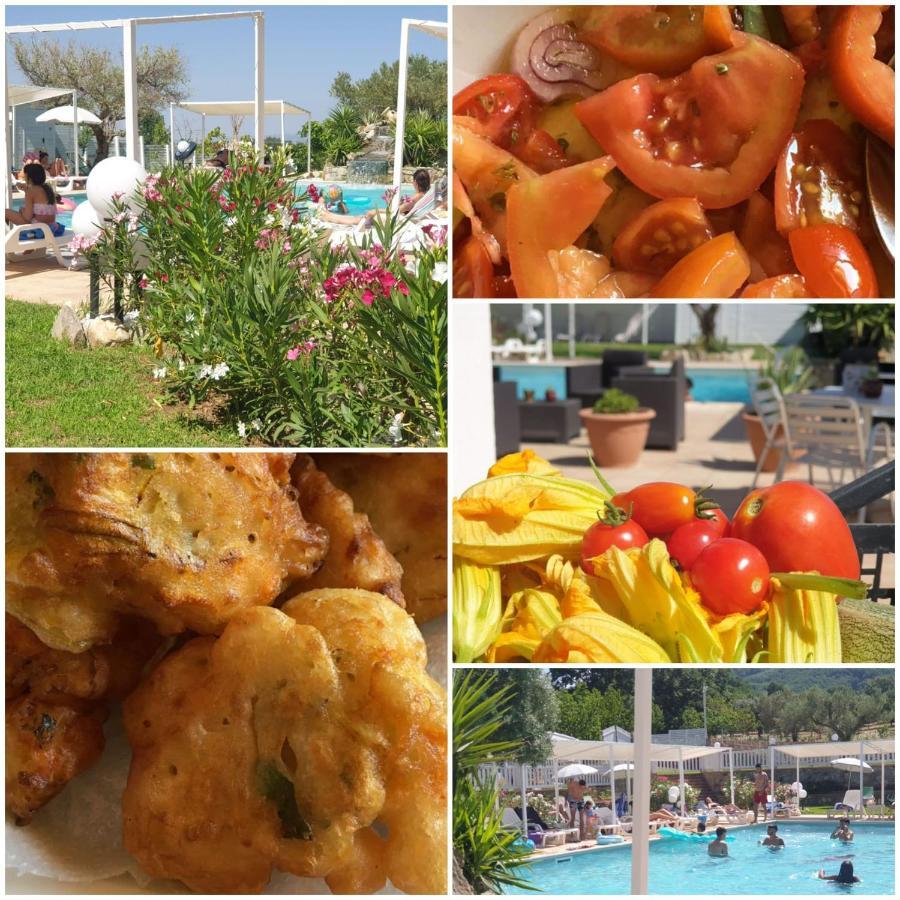 Agri Art Villa San Benedetto Ullano Eksteriør bilde