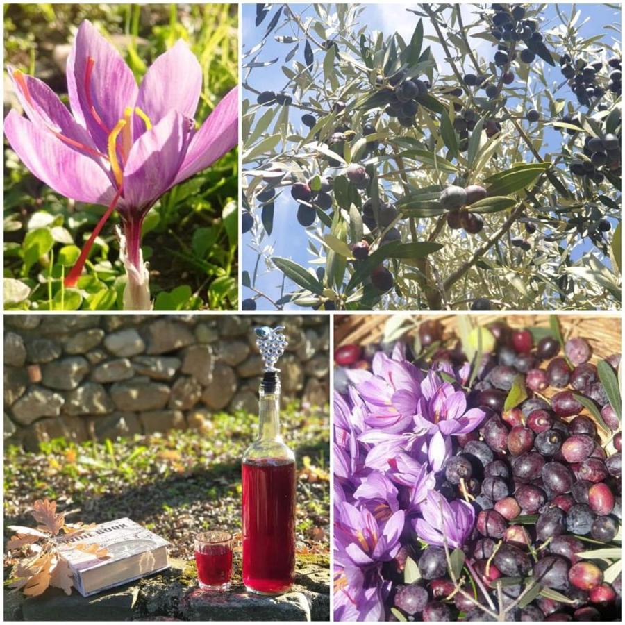 Agri Art Villa San Benedetto Ullano Eksteriør bilde