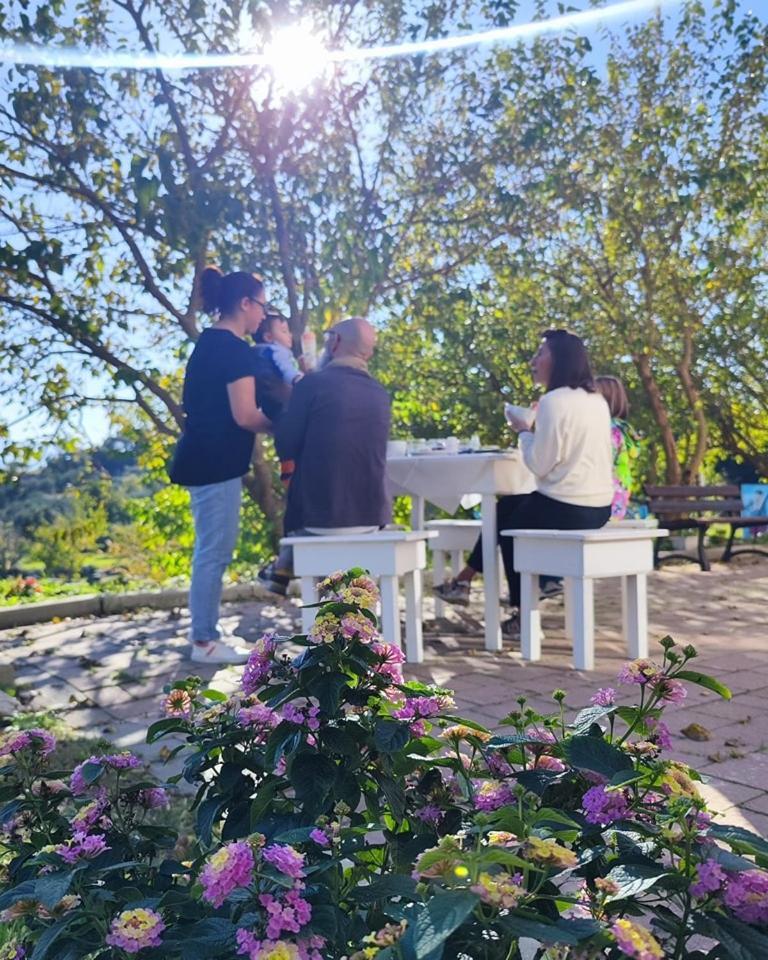 Agri Art Villa San Benedetto Ullano Eksteriør bilde